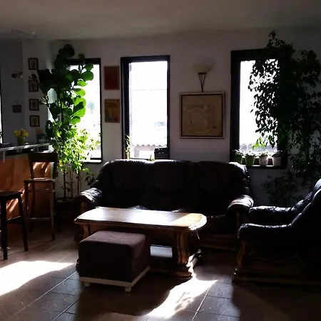 招待所 Elit 多布里尼什特