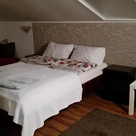 Elit 招待所 多布里尼什特