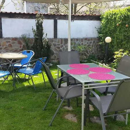 Elit 多布里尼什特