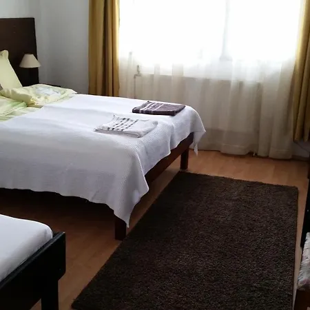 Elit 招待所 多布里尼什特