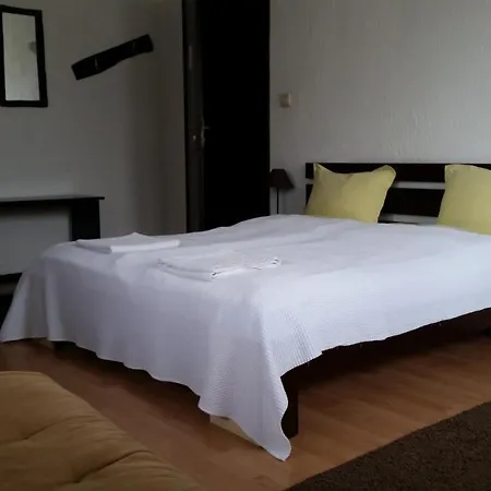 Elit 多布里尼什特