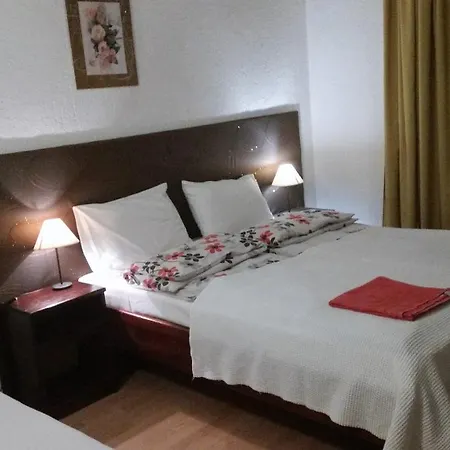 Elit 招待所 多布里尼什特