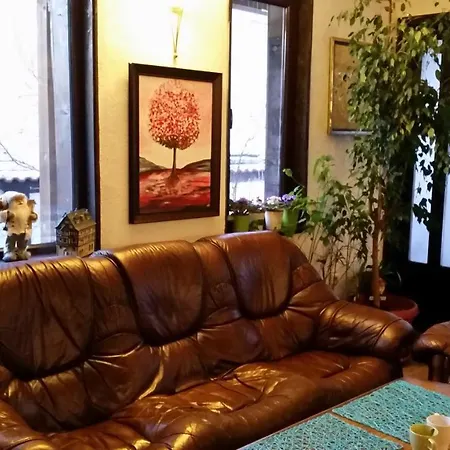 Elit 多布里尼什特