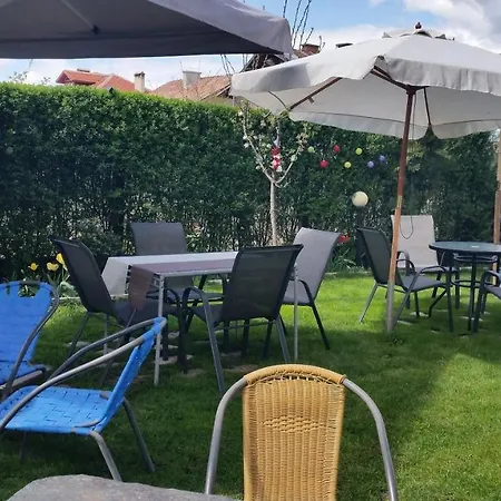 Elit 多布里尼什特