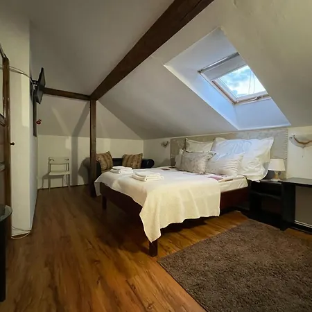 Elit 招待所 多布里尼什特