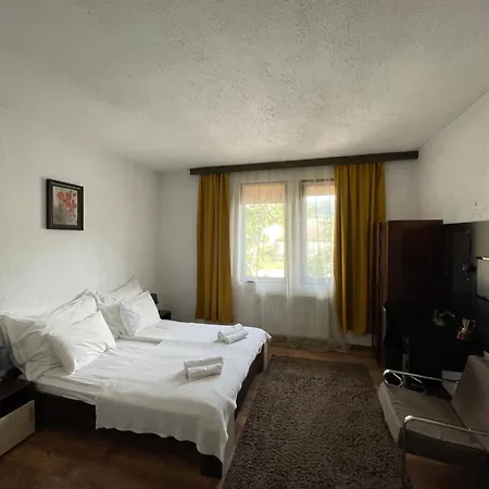 招待所 Elit 多布里尼什特