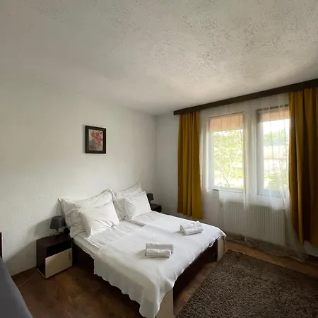 Elit 2* 多布里尼什特