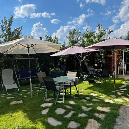 Elit Dobrinishte
