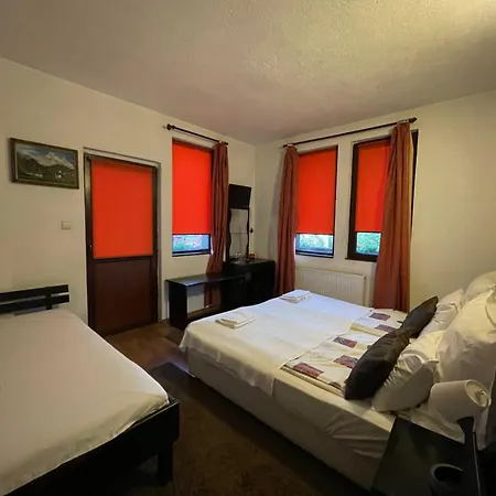 Elit 多布里尼什特