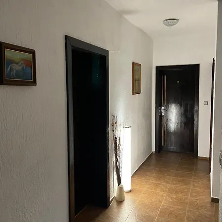 Elit 招待所 多布里尼什特