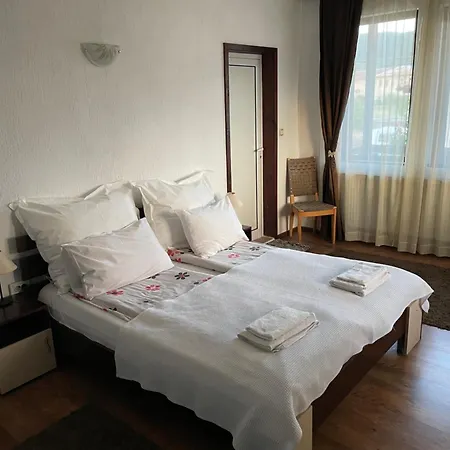 Elit 多布里尼什特