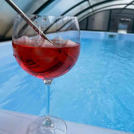 招待所 Elit 多布里尼什特